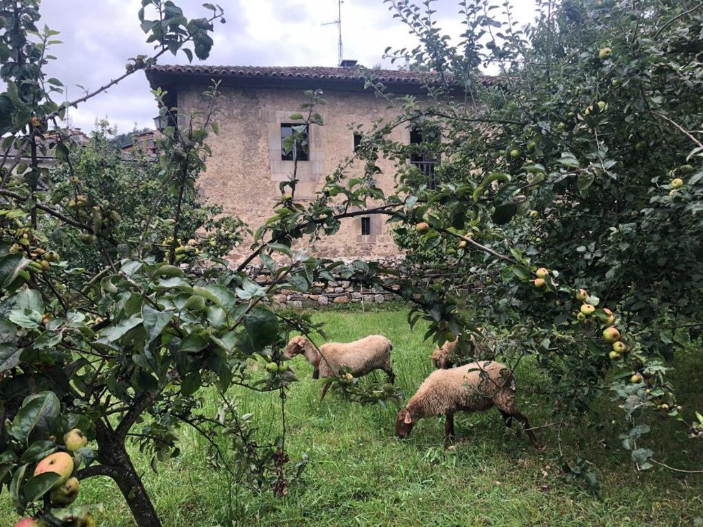 La Casona Del Xerron Villa El Condado Eksteriør billede